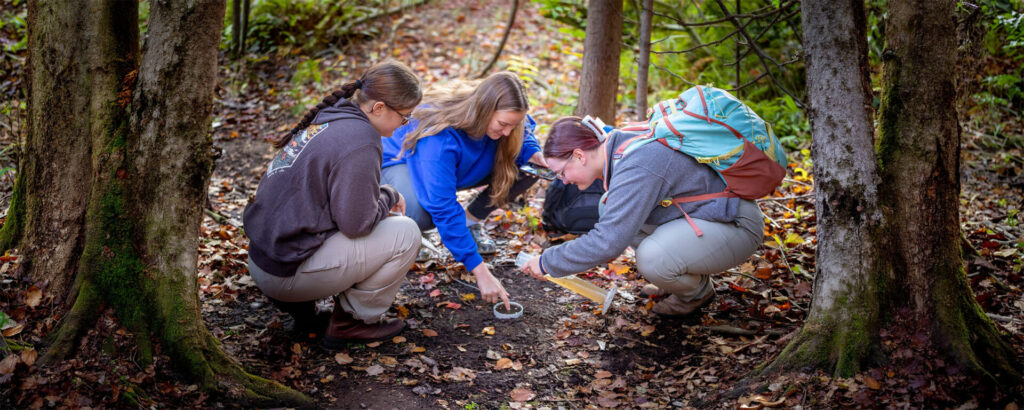 3 students gathered around doing an experiment in nature in the fall